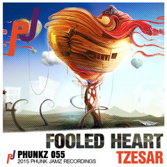 Fooled Heart (Original Mix)