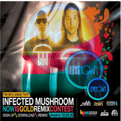 Infected Mushroom - Now Is Gold Feat. Kelsy Karter   ( UnknownSoul Rmx )