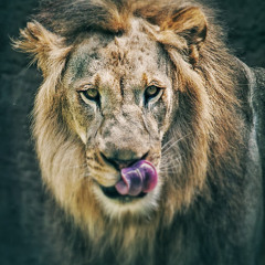 Big Sean Ft. Wale - Life Should Go [Instrumental]