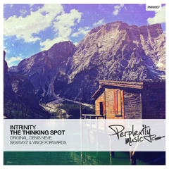 Intrinity - The Thinking Spot (Seawayz Remix) [PMW007]