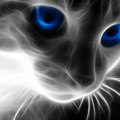 Memory Lane -- Saffiyya