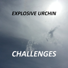 Magicality (Roses) [Remix]