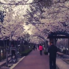 #ButGoodEnding (봄사랑벚꽃말고)