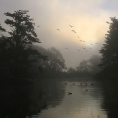In The Morning Fog | Aegnog & Amphibian