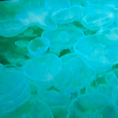 The Keys To The Kingdom.aud