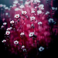 Sometimes love just ain't enough (cover)