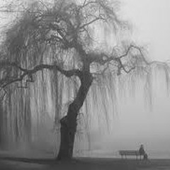 Pierce the veil - hold on till may (full)