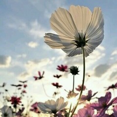 Us against the world - coldplay (cover)