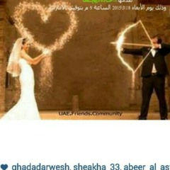 فكرة برنامج اختيار الشريك