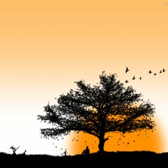 4 Tranquilidade ( AUTO-CONTROLE )