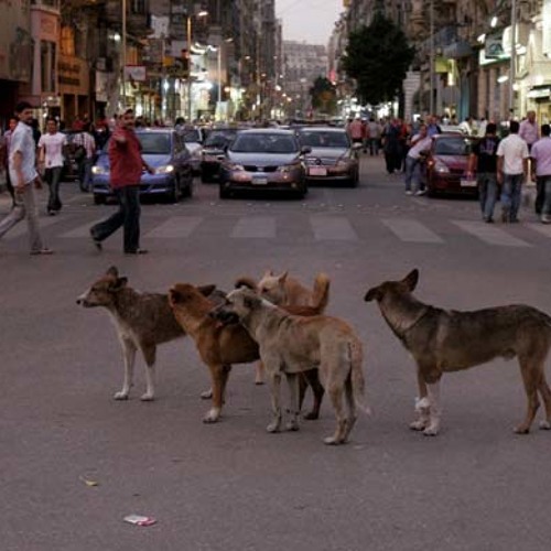 Tilt, Benny B, Vácuo, Rott, Uno - Terminal Dos Cães (Prod. Uno)