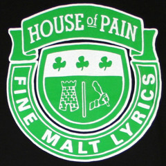 HOUSE OF PAIN VS JAZZSTEPA  - on point (GMF's mashup)
