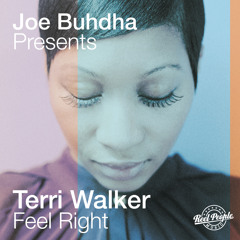 Joe Buhdha Presents Terri Walker - Feel Right (Reel People Vocal Mix)