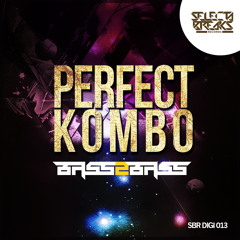 PERFECT KOMBO - BASSTARDO (ORIGINAL MIX)