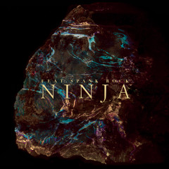 Ninja (feat. Spank Rock)