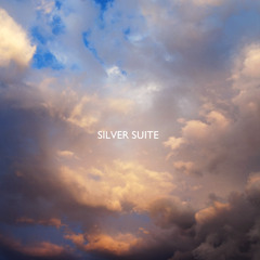 Silver Suite