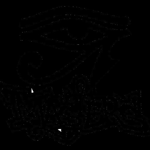 Cluster 7