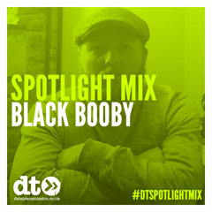 Spotlight Mix: Black Booby