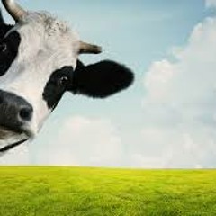 Blessed Instrumental