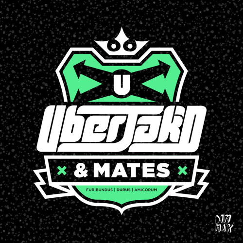 Ruby & Tony & Uberjak'd - Hit Me [DIM MAK]