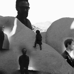 Leafcutter John's Leaf Mix