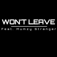 Won't Leave feat. Mumzy Stranger (SNIPPET)