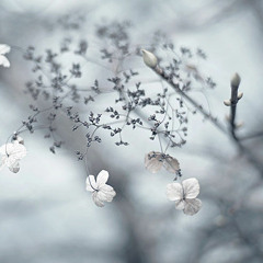 2015 - 04 - 07 Maik Conrath @ Spring For A Moment