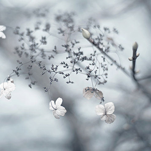 2015 - 04 - 07 Maik Conrath @ Spring For A Moment