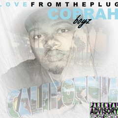 LOVEFROMTHEPLUG - CALIFORNIA