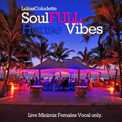 SoulFULL House Vibes - Lukas Colodette DJ