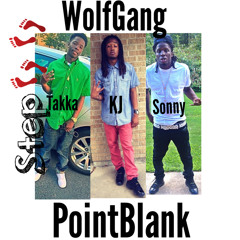 Step - WolfGang x PointBlank