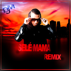 Dj miCheL [ RM Family] - Selé Mama MiChelStyLe RemiXx