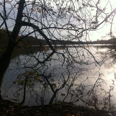 'Sorry's Too Late' by Heidi Browne