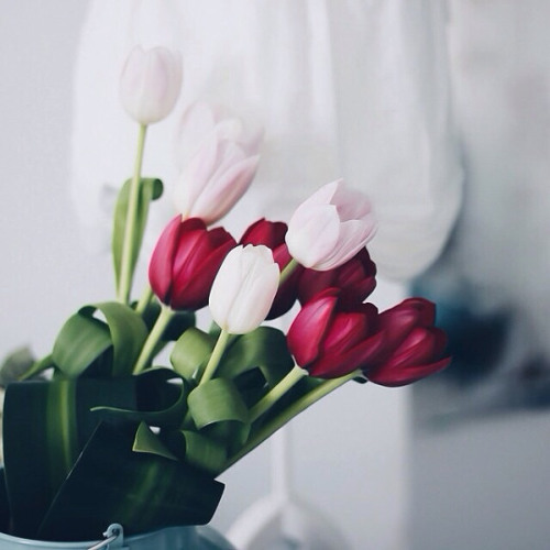 مَا نُنَزِّلُ الْمَلَائِكَةَ إِلَّا بِالْحَقِّ وَمَا كَانُوا إِذًا مُّنظَرِينَ - هزاع البلوشي