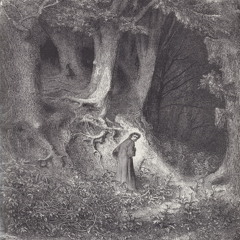 The Dark Wood