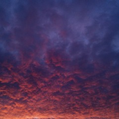 Left & Leaving (The Weakerthans Cover)