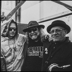 LXR_OM LAB — FREE STEVE