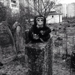 КАПЭ - Не На Весне (prod. by Nuttkase)