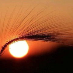 Вижу  (I See You)
