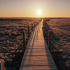 Bonus...for the good of mankind at The Endless Walk