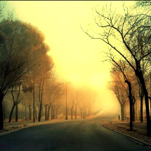 Ramad El-7elm
