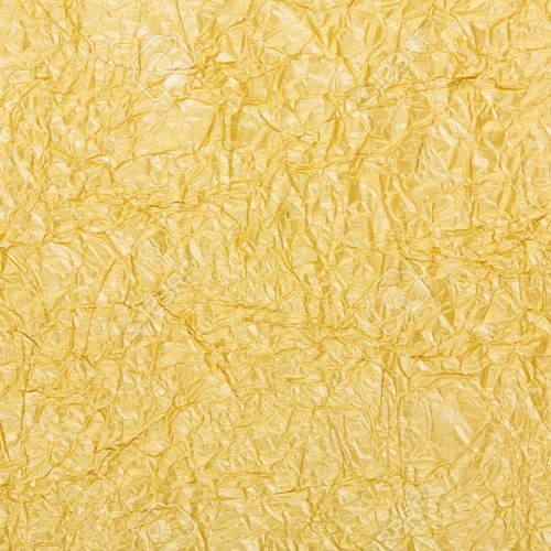 Gold Front - Jumanji
