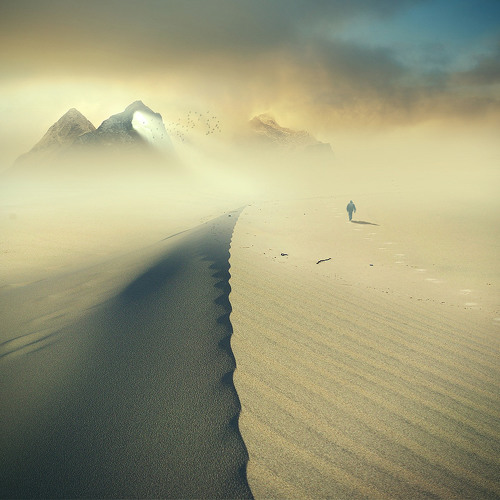 Mind of Millson: Long Way Home 2015