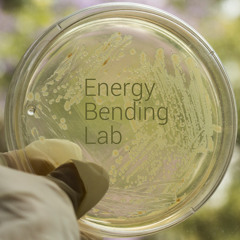 Energy Bending Lab / Non Human rhythms