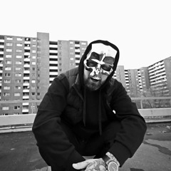 Jay Z Vs Aggro Berlin