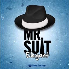 Elegant - Mr. Suit (DunnProject RMX)