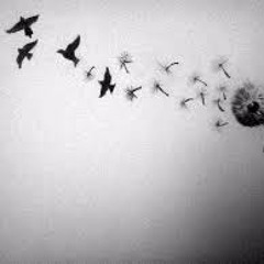 Activator - My Freedom (Official soundcloud preview)