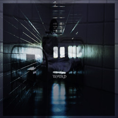 WARD (Journal x PRXZ)