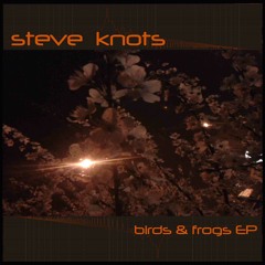 Steve Knots - The Ocean [birds & frogs EP Snippet] OUT NOW