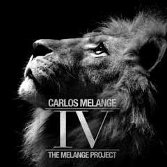 The Melange Project V4